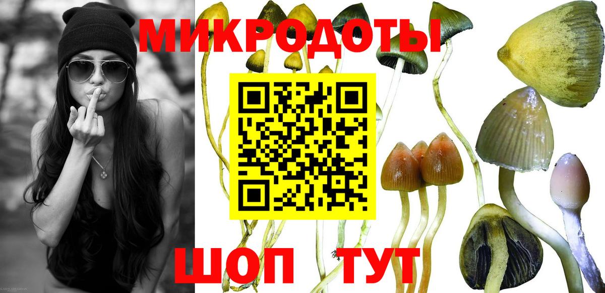 Бошки Шишки Полевской